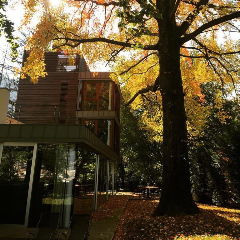 Casa Sull'Albero Hotel Malgrate Bagian luar foto
